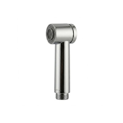 Pull-Out Two-Jet Shower, Futuro